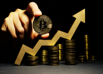 Bitcoin Zyklen